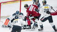 tygři sparta2 BEN 3339